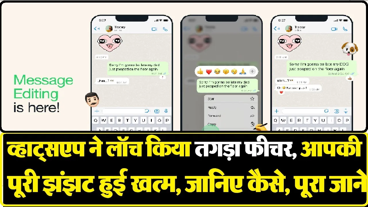 WhatsApp में आया शर्मिंदगी से बचाने वाला फीचर, ऐसे कर सकेंगे इस्तेमाल