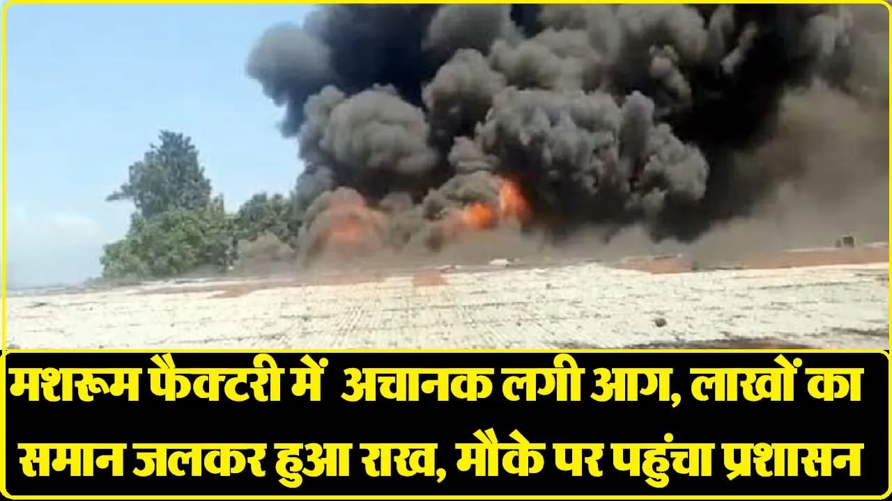 हिमाचल के इस जिले में मशरूम फैक्टरी में भीषण आग, फैक्टरी के साथ निजी स्कूल को प्रशासन ने किया खाली ।। Himachal Pradesh Sirmour News