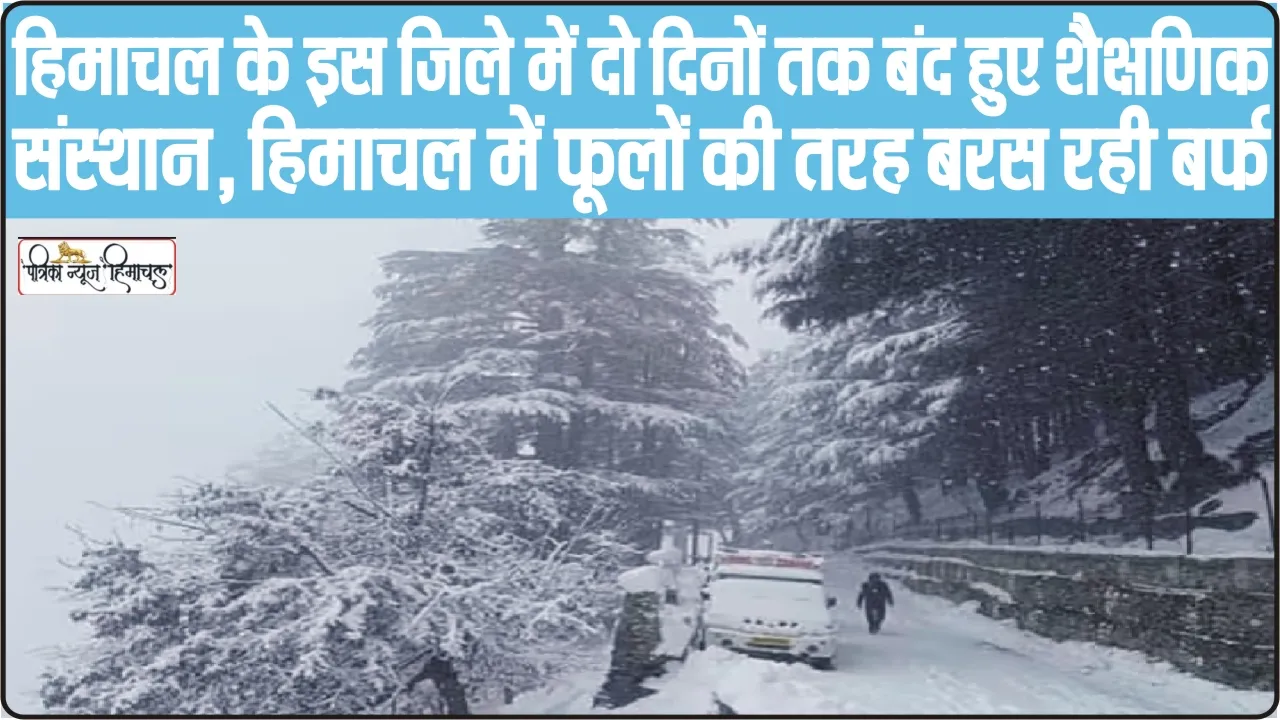 Himachal Weather Red Alart || दो दिनों तक बंद हुए शैक्षणिक संस्थान, हिमाचल में फूलों की तरह बरस रही बर्फ,