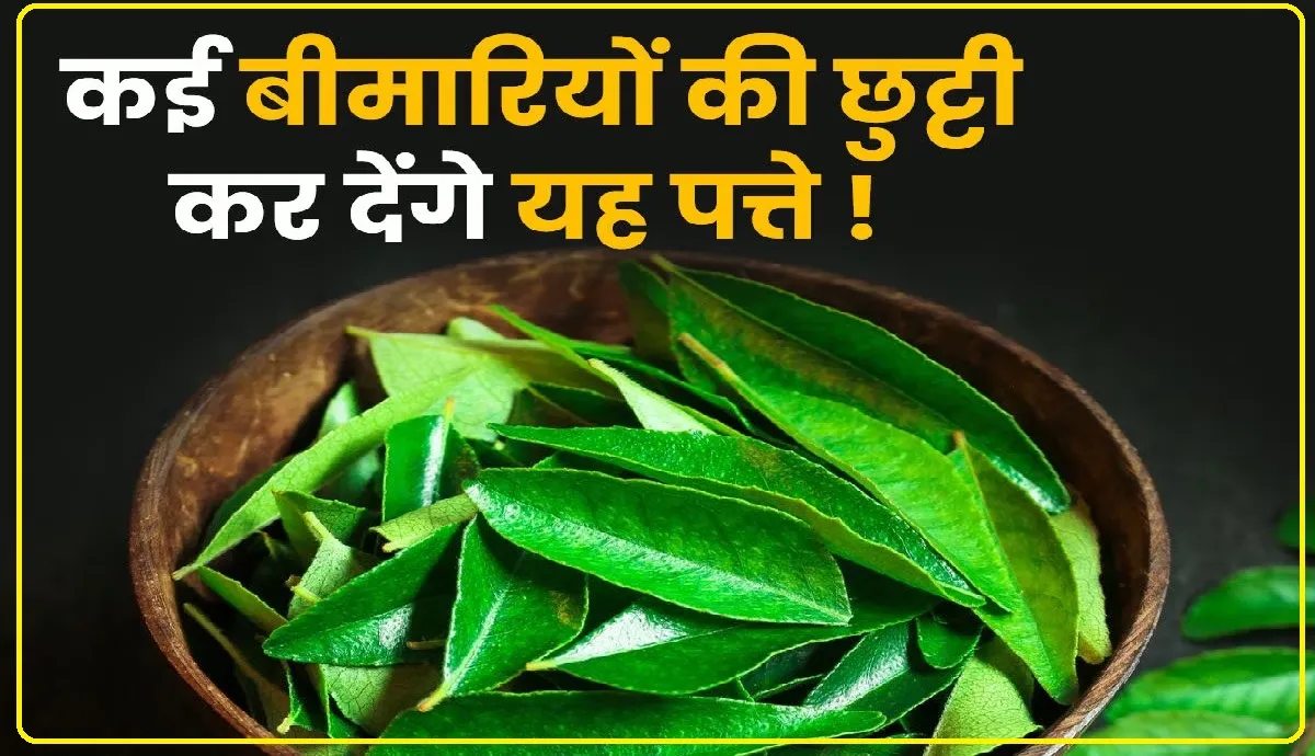 Neem leaf benefits || ये हरी पत्ती आपको कई रोगों में दिलाएंगी राहत, जानिए उनके नाम