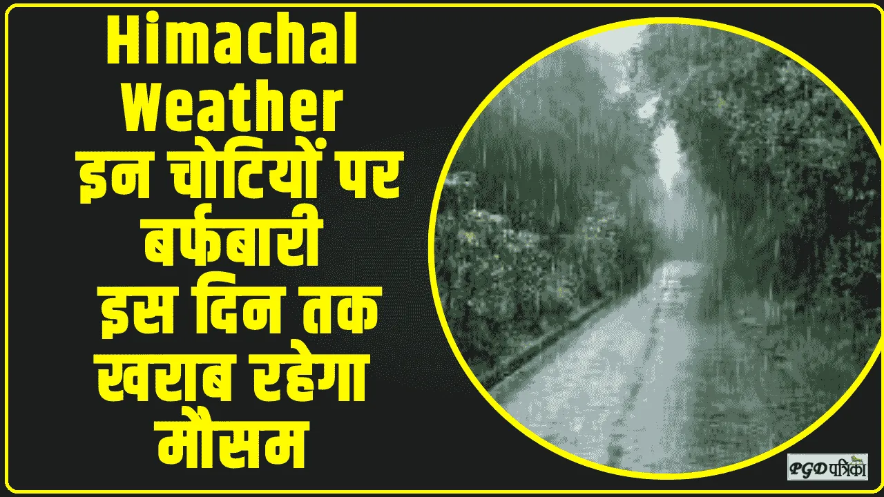 Himachal Weather Update || इन चोटियों पर बर्फबारी, शिमला समेत कई क्षेत्रों में बारिश, इस दिन तक खराब रहेगा मौसम