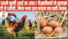 GK In Hindi General Knowledge || पहले मुर्गी आई या अंडा? वैज्ञानिकों ने सुलझा दी ये पहेली