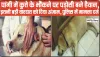 Chamba Pangi News ||  पांगी में कुत्ते के भौंकने पर पड़ोसी बने हैवान, इतनी बड़ी वारदात को दिया अंजाम, पुलिस में मामला दर्ज