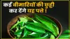 Neem leaf benefits || ये हरी पत्ती आपको कई रोगों में दिलाएंगी राहत, जानिए उनके नाम