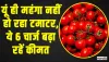 टमाटर महंगा होने की वजह सिर्फ बारिश नहीं, ये 5 'चार्ज' भी लगते हैं इस पर जो बढ़ा देते हैं कीमत