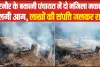 Chamba News || भरमौर के बकानी पंचायत में दो मंजिला मकान में लगी आग, लाखों की संपत्ति जलकर राख