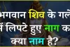 General Knowledge Quiz || बताएं आखिर भगवान शिव के गले में लिपटे हुए नाग का क्या नाम है?