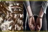 Himachal Crime News || कुल्लू में चंबा का युवक चरस के साथ हुआ गिरफ्तार, नाकाबंदी के दौरान पुलिस को मिली सफलता 