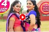 Aamrapali Dubey || खटिया पर बैठकर दारू पी रहे थे नशेड़ी…Amrapali और Anjana Singh ने उनका बहलाया दिल, देखें वीडियो