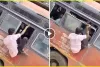 Aaj Ka Viral Video l बस में सीट के लिए खिड़की से घुस रहा था बंदा, आगे जो हुआ वह देख लोग बोले- जिंदगी शॉर्टकट से नहीं चलती