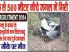 Himachal Road Accident News || गहरी खाई में लुढ़की कार, शिक्षक समेत दो की मौत,