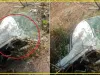 Himachal Road Accident || गहरी खाई में लुढ़की कार, हादसे में  पूर्व सैनिक की दर्दनाक मौत 