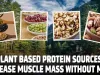10 plant based protein sources to increase muscle mass without meat 