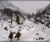  Himachal Weather Update || हिमाचल के कई हिस्सों में बिगड़ा मौसम, लाहौल में हिमपात, इस दिन से मौसम साफ रहेगा मौसम