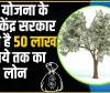 Government Scheme || आधार कार्ड लाओ और 50 हजार ले जाओ... सरकार की इस स्कीम में मिलता है बिना गारंटी के पैसे!