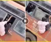 Aaj Ka Viral Video l बस में सीट के लिए खिड़की से घुस रहा था बंदा, आगे जो हुआ वह देख लोग बोले- जिंदगी शॉर्टकट से नहीं चलती