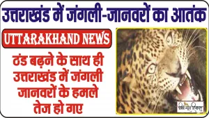 Uttarakhand News || उत्तराखंड में नहीं थम रहा जंगली-जानवरों का आतंक, 11 लोगों की गई जान