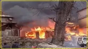 Himachal News || 3 शैड व वेटनरी अस्पताल भवन अचानक लगी आग, लाखों का नुक्सान