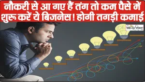 Business Idea 2024 ||  नौकरी से आ गए हैं तंग तो कम पैसे में शुरू करें ये बिजनेस! होगी तगड़ी कमाई