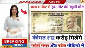 500 Rupees Old Note Sell || ₹500 के पुराने नोट को अंतरराष्ट्रीय मार्केट में बेचकर कमाई लाखों रुपए जाने कैसे