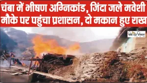 Chamba Hindi News || चंबा में आग की भेंट चढ़े 2 मकान, 20 मवेशी जिंदा जले, मौके पर पहुंचा प्रशासन 
