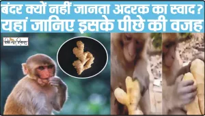 Monkey Tasted The Ginger || कभी सोचा.. बंदर अदरक का स्वाद क्यों नहीं जानता, आज जान लीजिए​