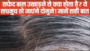 Pulling a Grey Hair in Hindi || सफेद बाल उखाड़ने से क्या होता है? ये सचमुच हो जाएंगे दोगुने! जानें सही बात