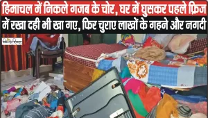 Himachal News || हिमाचल में निकले गजब के चोर, घर में घुसकर पहले फ्रिज में रखा दही भी खा गए, फिर चुराए लाखों के गहने और नगदी