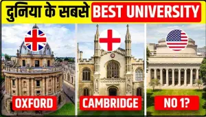 Top-10 University In World || Top-10 University In World Harvard Oxford Cambridge And Others See List Here