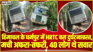 Himachal News || हिमाचल में HRTC का बड़ा सड़क हादसा होने से टला, पेड़ से टकराई बस, यात्रियों में मची चीख-पुकार