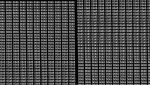 Optical Illusion || बाज सी तेज नजर वाले ही 13 सेकेंड में ढूंढ पाएंगे '00A5' की भीड़ में छिपा '0045' 
