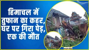Himachal News || मंडी के करसोग में तेज तूफान से रसोई घर पर गिरा पेड़, 42 वर्षीय व्यक्ति की मौत