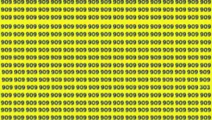 Optical illusions || अगर आपकी आंखों में है दम तो 909 की भीड़ में 303 को खोजे 