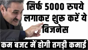 Best Business Idea: सिर्फ 5000 रुपये लगाकर शुरू करें ये बिजनेस! होगी तगड़ी कमाई