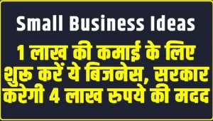 Small Business ideas || 1 लाख की कमाई के लिए शुरू करें ये बिजनेस, सरकार करेगी 4 लाख रुपये की मदद