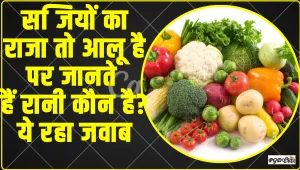 GK Quiz In Hindi || सब्जियों का राजा तो आलू है पर जानते हैं रानी कौन है? ये रहा जवाब