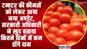Tomato Price Hike | टमाटर की कीमतों को लेकर आया बड़ा अपडेट, इन दिन से कम होंगे दाम 
