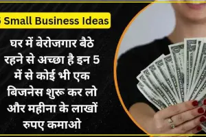 घर में बेरोजगार बैठे रहने से अच्छा है इन 5 में से कोई भी एक बिजनेस शुरू कर लो और महीना के लाखों रुपए कमाओ – Small Business Idea in India