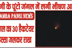 Chmba Pangi News || पांगी के पूंटो जंगल में लगी भीषण आग, 30 हैकटेयर हिस्सा जलकर राख