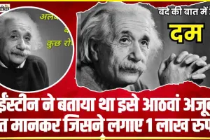 Einstein ने बताया था इसे आठवां अजूबा ! बात मानकर जिसने लगाए 1 लाख रुपये, आज बन गए 1.5 करोड़ से ज्‍यादा
