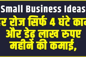 Small Business Ideas ||  हर रोज सिर्फ 4 घंटे काम और डेढ़ लाख रुपए महीने की कमाई, यहां जाने पूरी तरीका