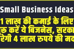 Small Business ideas || 1 लाख की कमाई के लिए शुरू करें ये बिजनेस, सरकार करेगी 4 लाख रुपये की मदद