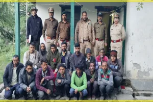 Chamba Pangi News || पांगी में जंगली लहसुन के साथ 14 लोग रंग हाथ हुए गिरफ्तार 
