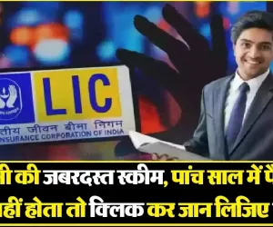 LIC New Scheme || शेयर मार्केट में लगेगा एलआईसी इस स्कीम का पैसा, जानिए आपको होगा क्या लाभ 