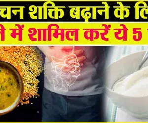 Increase Digestion Power ||  इन चीजों को खाने से पावरफुल बनता है पाचन तंत्र, डेली डाइट में शामिल कर स्ट्रॉन्ग बनाएं अपना हाजमा