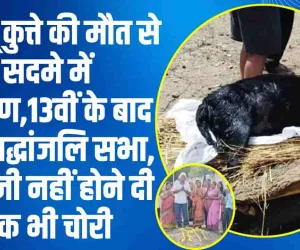 OMG || पालतू कुत्ते की मौत से सदमे में ग्रामीण,13वीं के बाद अब श्रद्धांजलि सभा, जीते जी कुत्ते ने गांव नहीं होने दी एक भी चोरी