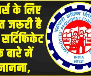 EPFO ||  मेंबर्स के लिए बहुत जरूरी है इस सर्टिफिकेट के बारे में जानना, पेंशन के मामले आता है बहुत काम