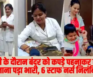 Watch Video : अस्पताल में ड्यूटी के दौरान बन्दर के साथ बनाई रील, छह स्टाफ नर्स हुई निलंबित