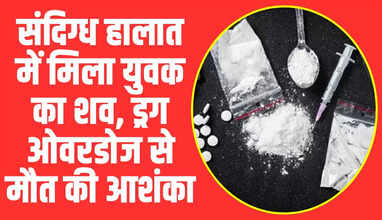 Himachal News: 
