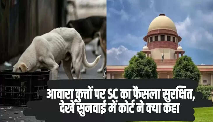  आवारा कुत्तों पर SC का फैसला सुरक्षित, देखें सुनवाई में कोर्ट ने क्या कहा